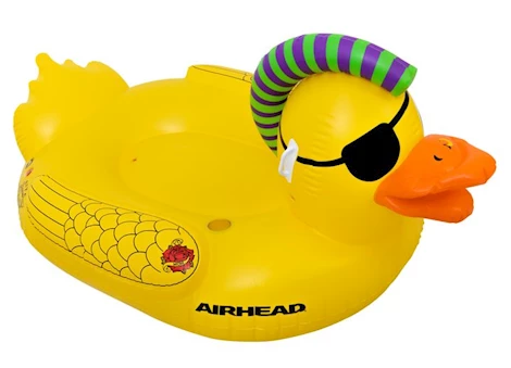 Airhead Punk Duck Pool Float Main Image